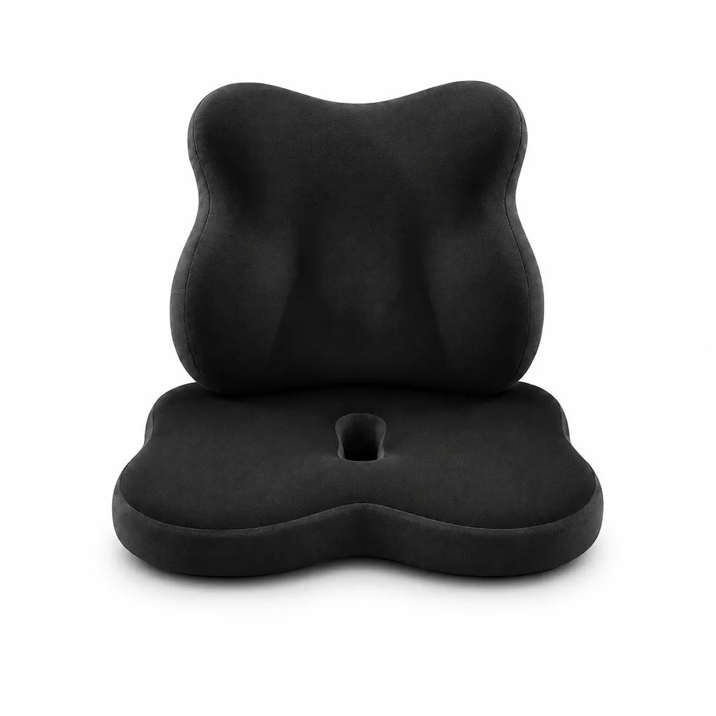Coussin_d_assise_et_lombaire_coloris_noir_fond_blanc