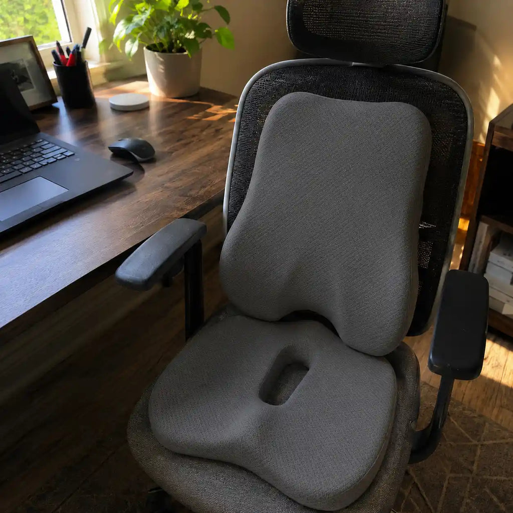 Set_coussin_d_assise_et_lombaire_lifestyle_bureau