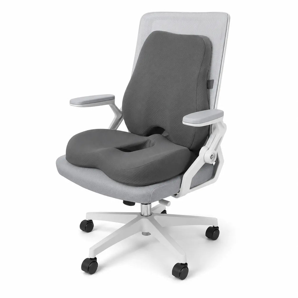 Set_coussin_d_assise_et_lombaire_fond_blanc