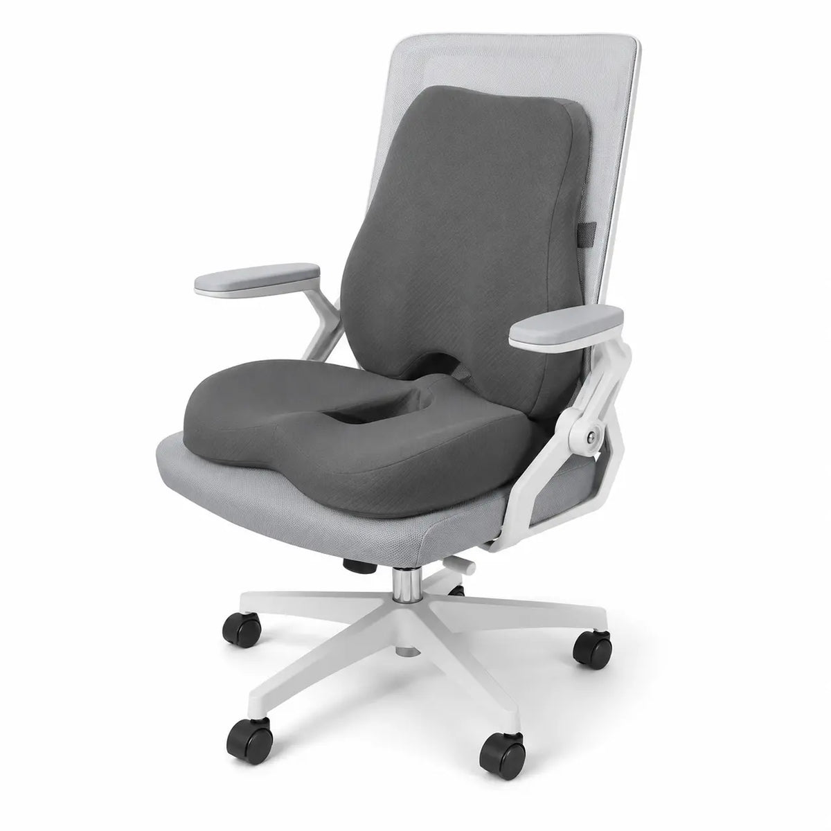 Set_coussin_d_assise_et_lombaire_fond_blanc